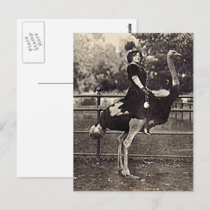 Vintage Broadway Actress Riding an Ostrich Postcard