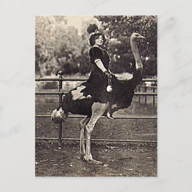 Vintage Broadway Actress Riding an Ostrich Postcard (Front)