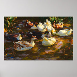 Vintage Brown Black White Ducks In The Pond Poster
