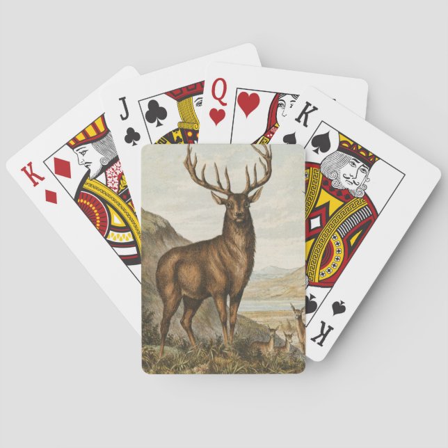 Vintage Buck Illustration Playing Cards (Back)