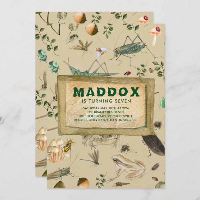 Vintage Bug Themed Birthday Party Invitation (Front/Back)