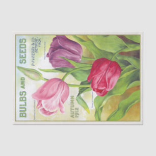 Vintage Bulbs and Seeds 1912 Tulips Tissue Paper