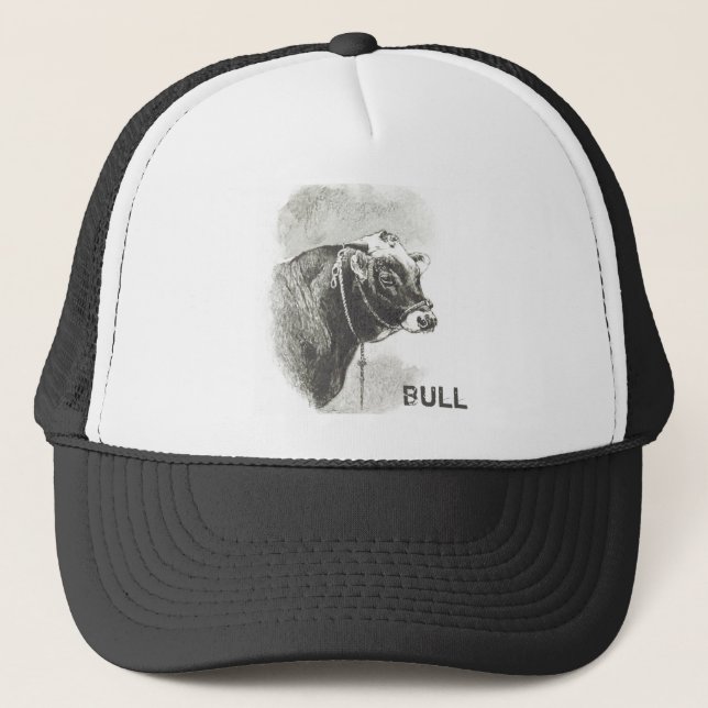 Vintage Bull Trucker Hat (Front)