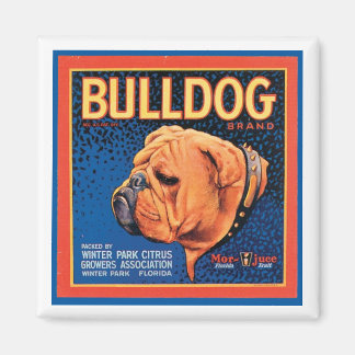 Vintage Bulldog Brand Crate Label Magnet