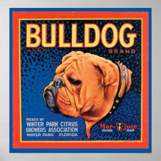Vintage Bulldog Brand Crate Label Poster