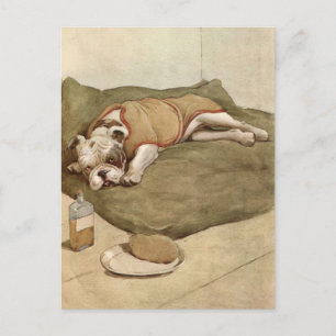 Vintage Bulldog Puppy Illustration Postcard