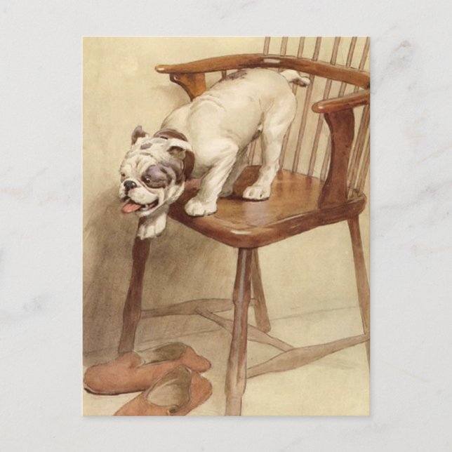Vintage Bulldog Puppy Illustration Postcard (Front)