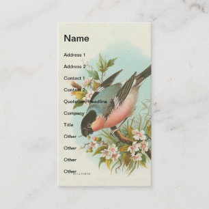 Vintage Bullfinch Business Card