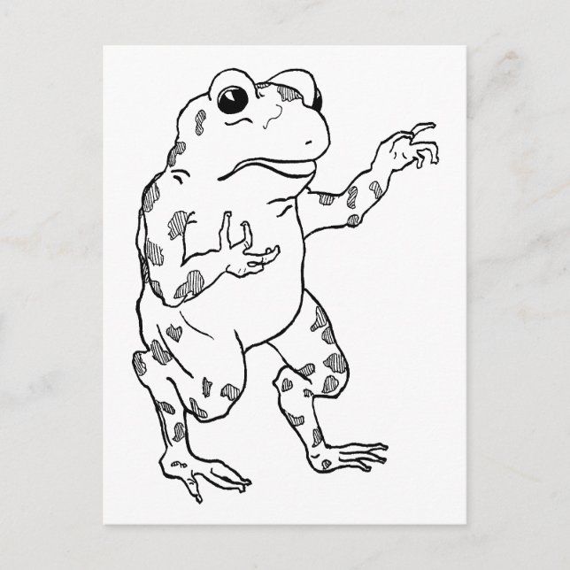 Vintage Bullfrog Illustration Postcard (Front)