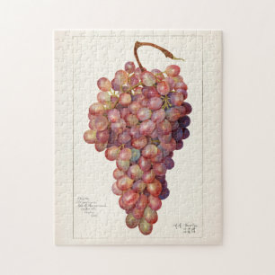 Vintage Bunch of Red Grapes Fruit Painting Jigsaw Puzzle
