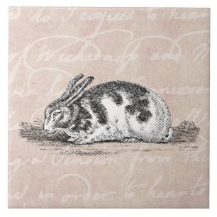 Vintage Bunny Rabbit Illustration - 1800's Rabbit Tile