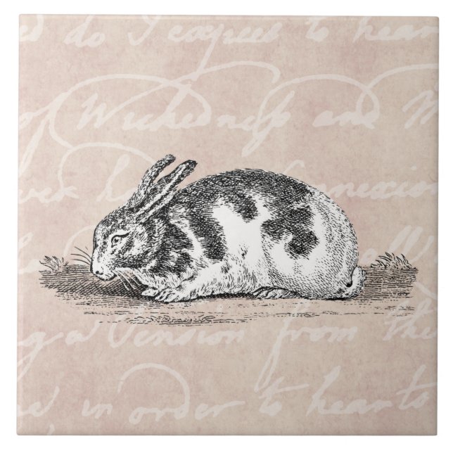 Vintage Bunny Rabbit Illustration - 1800's Rabbits Tile (Front)