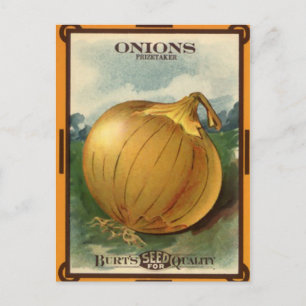 Vintage Burt's Onion Seed Package Postcard