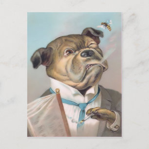Vintage Business Dog Postcard