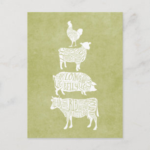 Vintage Butcher Meat Cuts Cow Pig Chicken Art Postcard