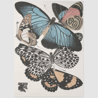 Vintage Butterflies by E.A. Séguy Decoupage  Tissue Paper