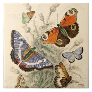 Vintage Butterflies by Oliver Goldsmith Tile
