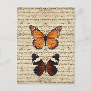 Vintage butterflies collection postcard