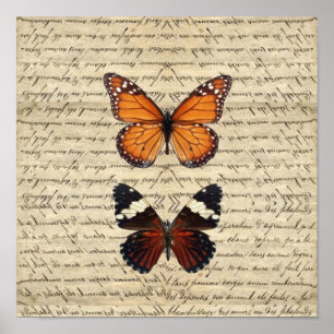 Vintage butterflies collection poster