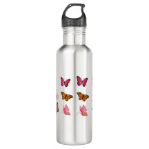 Vintage Butterflies – Colourful Entomology Illustr