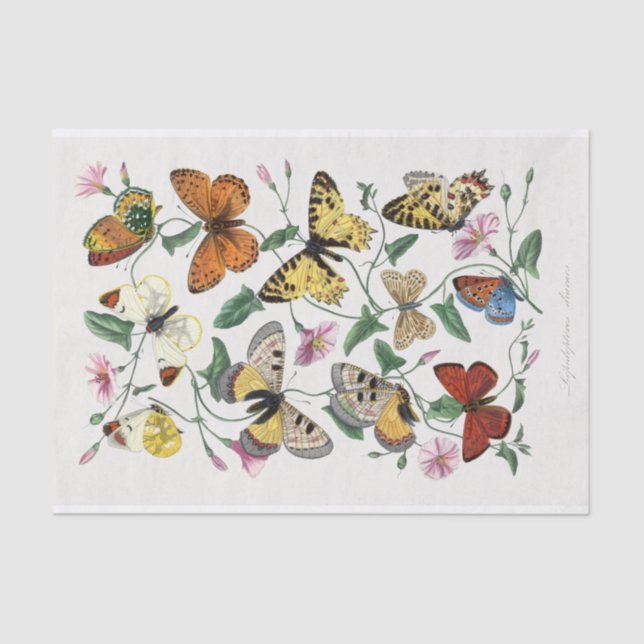 Vintage Butterflies Decoupage Tissue Paper (Front)