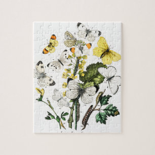 Vintage Butterflies Jigsaw Puzzle