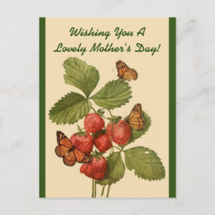 Vintage Butterflies Mum's Day Postcard
