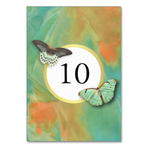 Vintage Butterflies Southwest Colours Table Number