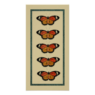 Vintage Butterflies Spring Beautiful Nature Cute Poster