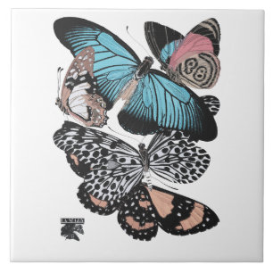 Vintage Butterflies Tile