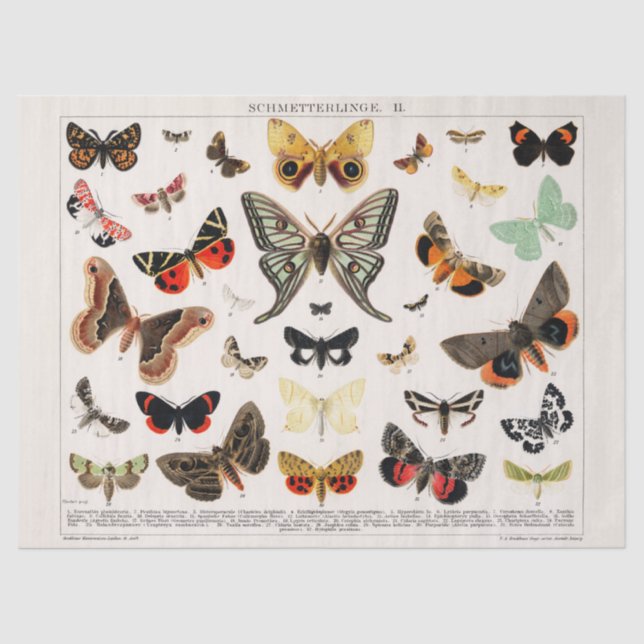 Vintage Butterflies Tissue or Decoupage paper (Front)