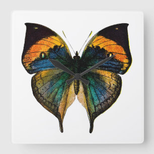 Vintage Butterfly - 1800's Antique Butterfies Square Wall Clock