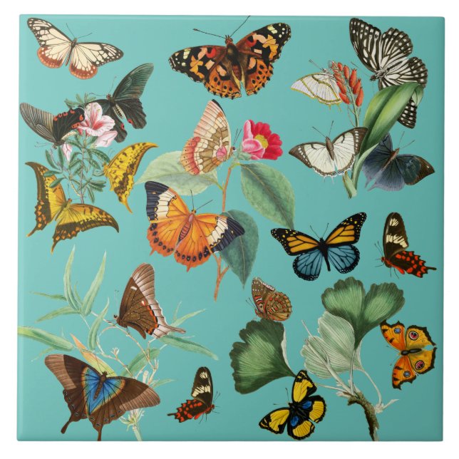 Vintage Butterfly Art, Many Kinds and Colours Tile (Front)