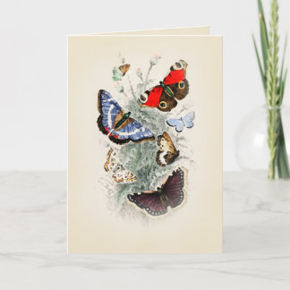 Vintage Butterfly Boho Chic Card