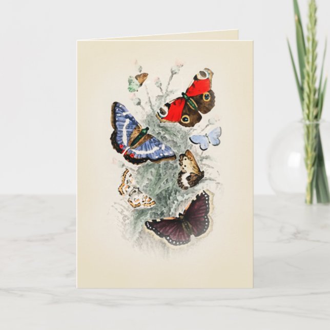Vintage Butterfly Boho Chic Card (Front)