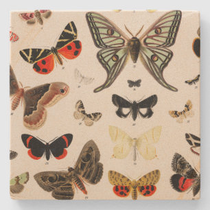 Vintage Butterfly Botanical Coaster