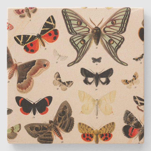 Vintage Butterfly Botanical Coaster (Front)