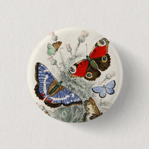 Vintage Butterfly Botanical Scientific Illustratio 3 Cm Round Badge