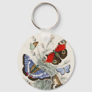 Vintage Butterfly Botanical Scientific Illustratio Key Ring