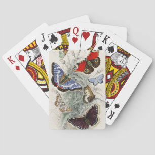 Vintage Butterfly Botanical Scientific Illustratio Playing Cards