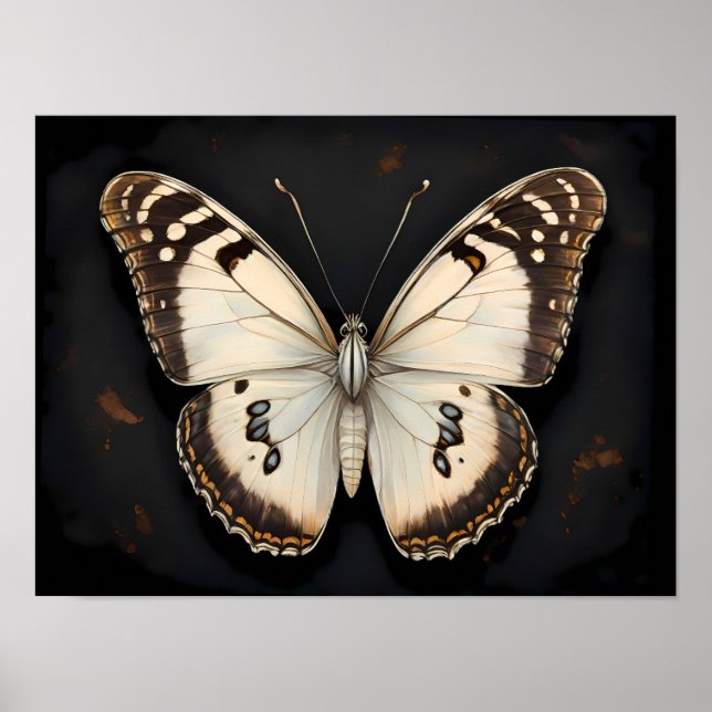 Vintage Butterfly Elegance, Timeless Nature Poster (Front)