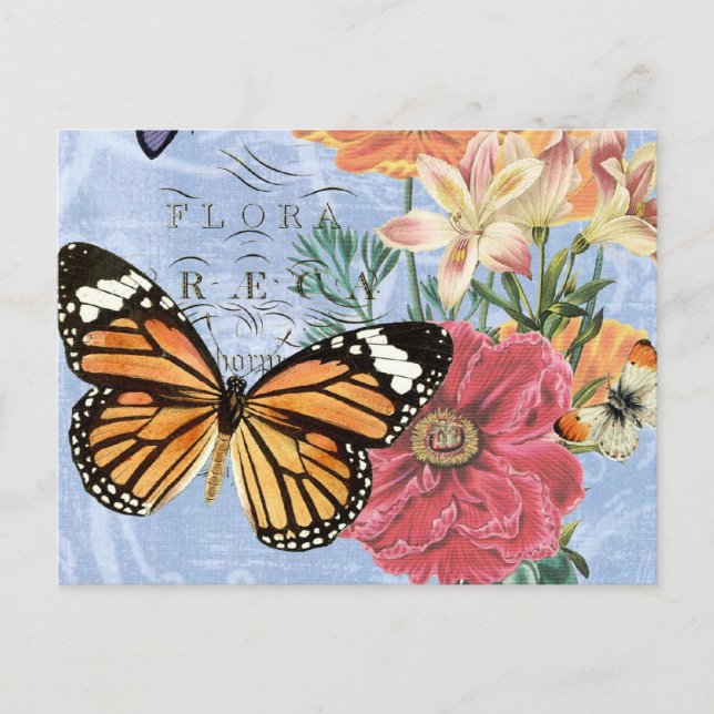 Vintage Butterfly Flora...postcard Postcard (Front)