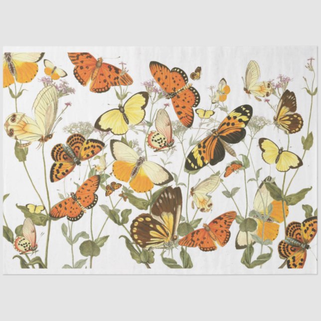 Vintage Butterfly Garden Tissue Tissue Paper (Front)