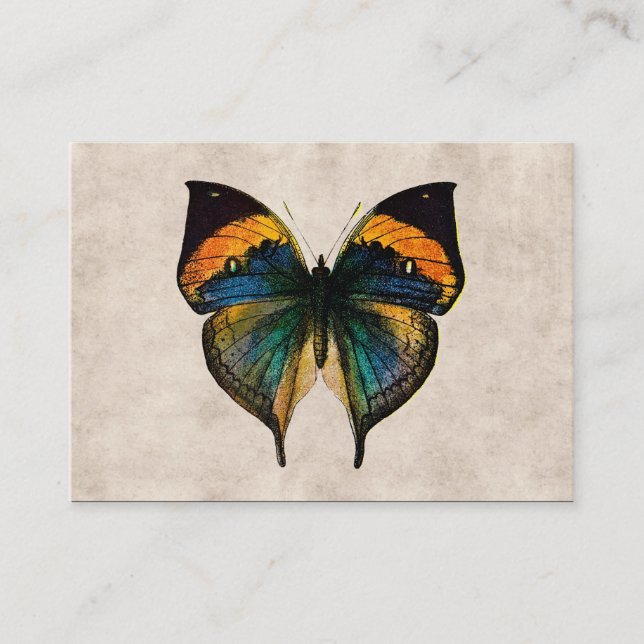 Vintage Butterfly Illustration 1800's Butterflies Business Card (Front)