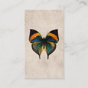 Vintage Butterfly Illustration - Butterflies Business Card