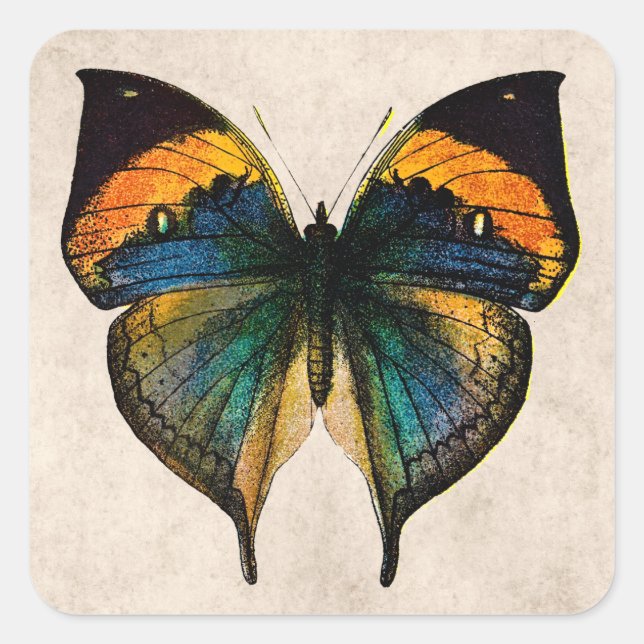 Vintage Butterfly Illustration - Butterflies Square Sticker (Front)