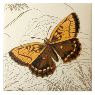 Vintage Butterfly Illustration, Gold and Brown Tile
