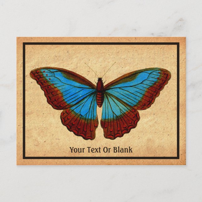Vintage Butterfly Illustration Holiday Postcard (Front)
