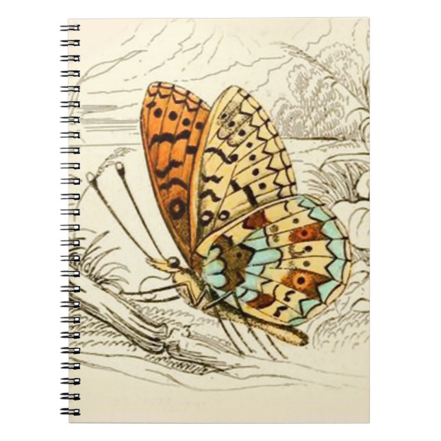 Vintage Butterfly Illustration, Orange and Beige Notebook (Front)