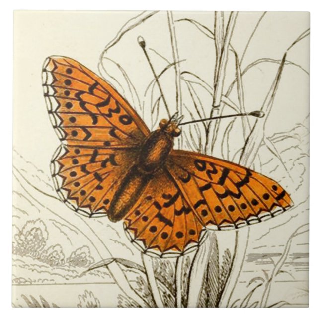 Vintage Butterfly Illustration, Orange and Black Tile (Front)